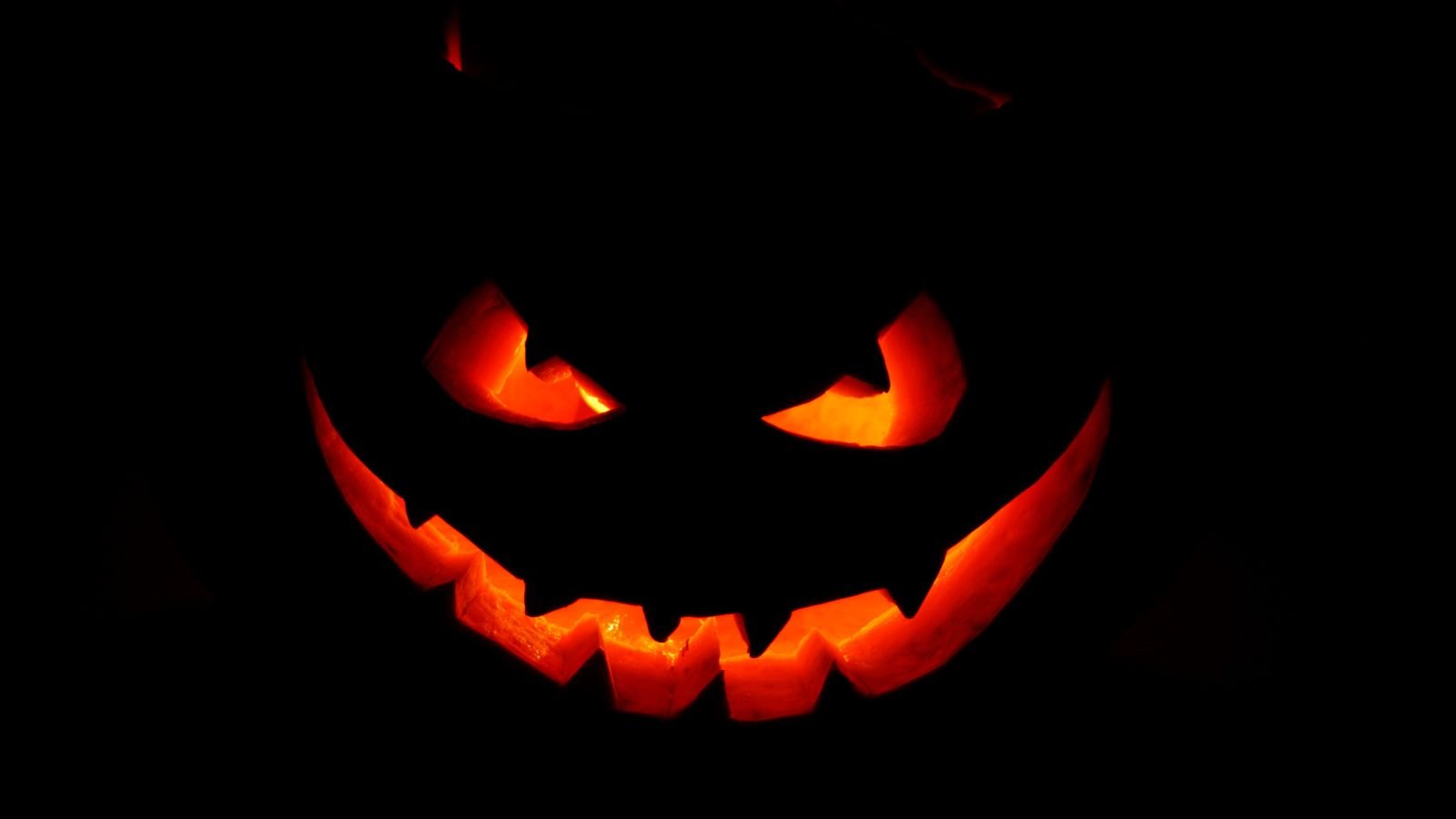 Bücher für Leute mit dunklem Humor – Lesen für jene, die tiefer schmunzeln - Kokopelli Verlag