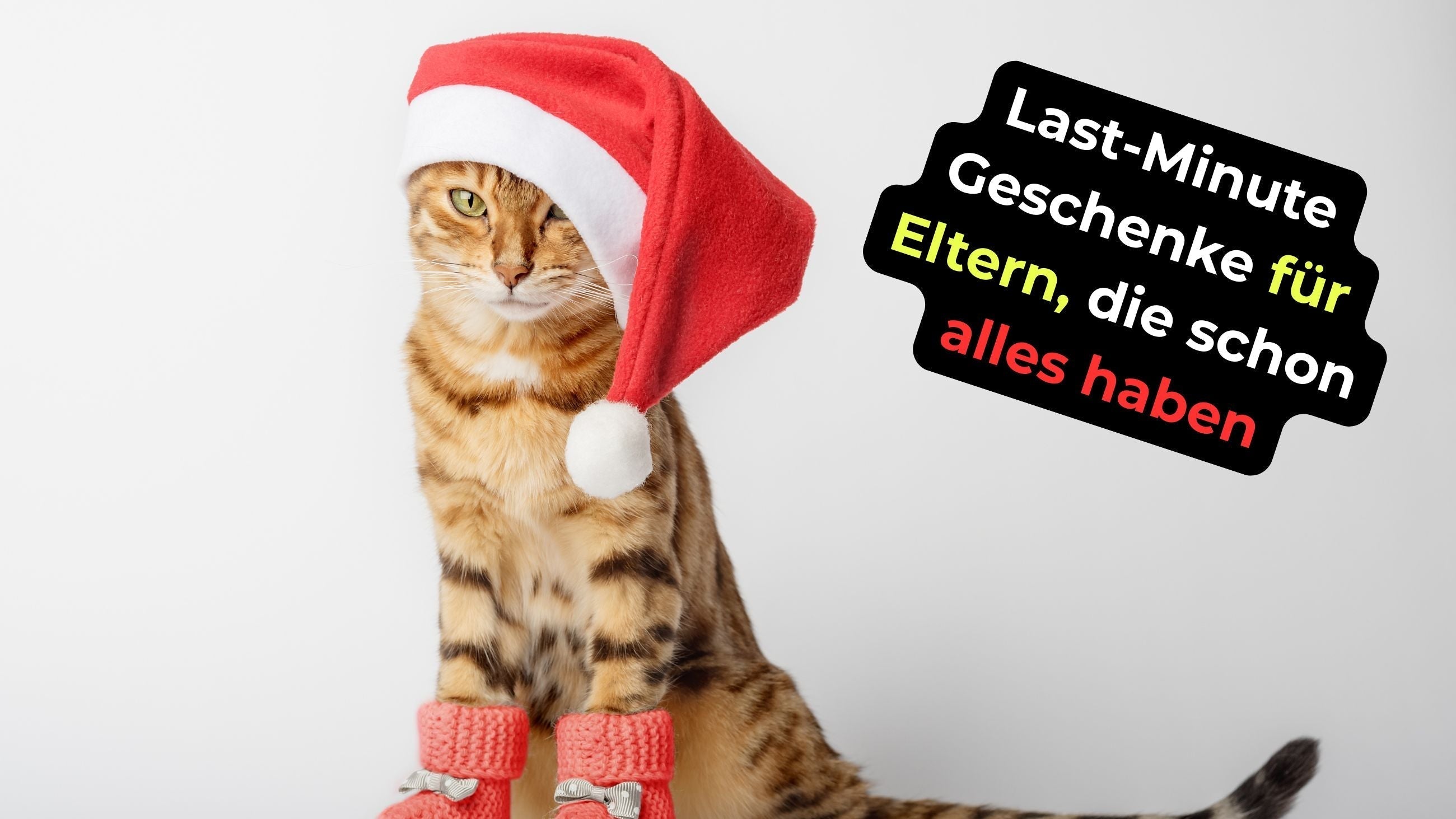 Last-Minute Geschenke für Eltern, die schon alles haben - Kokopelli Verlag